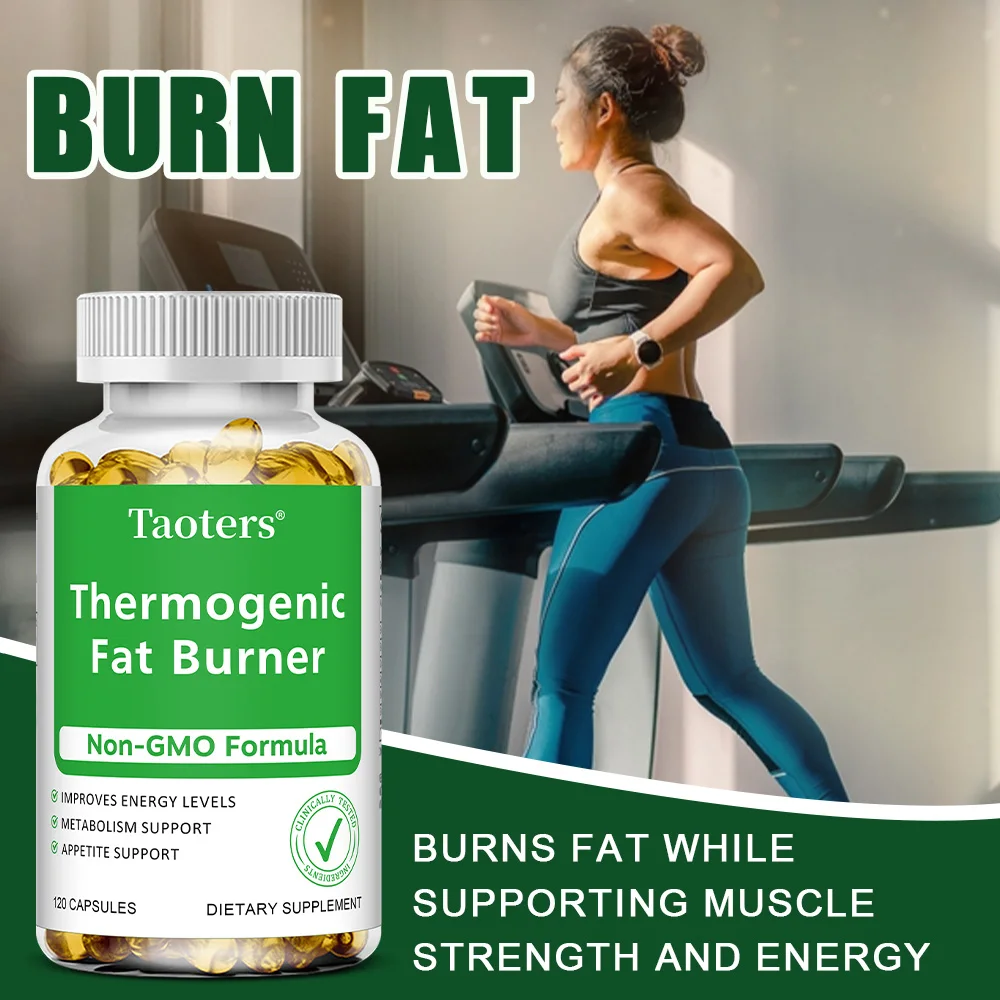 Green Tea Extract - with Apple - Herbal Tea For Wellness ulasan dan harga